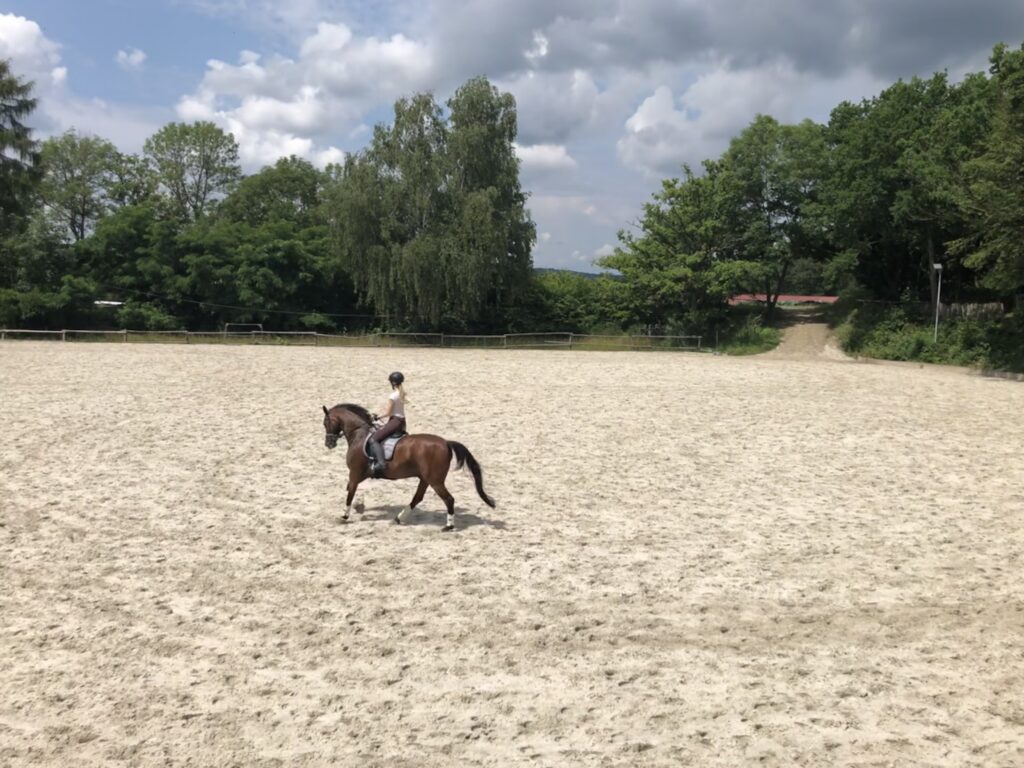 Dressurkurs-Manuela-Schmitt-Reitclub-Reichenberg4