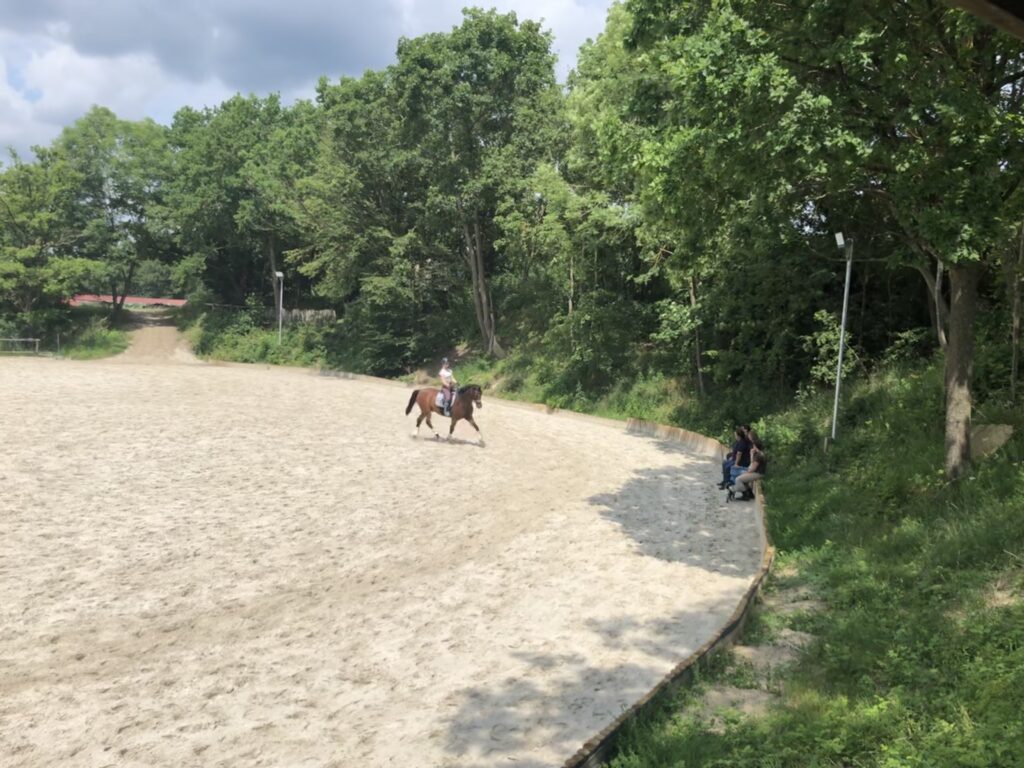 Dressurkurs-Manuela-Schmitt-Reitclub-Reichenberg2